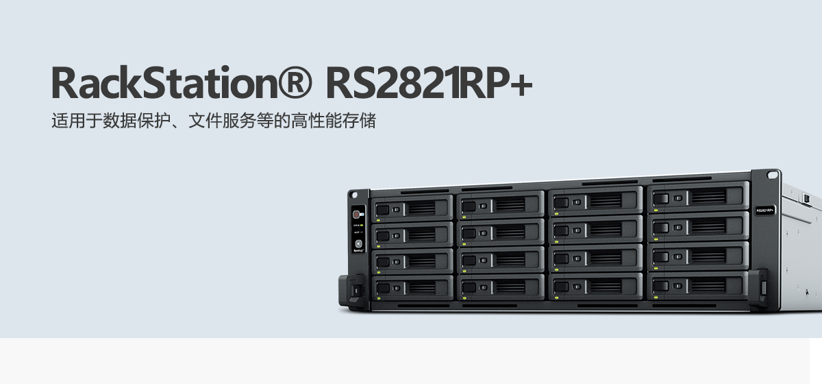 RS2821RP+.png